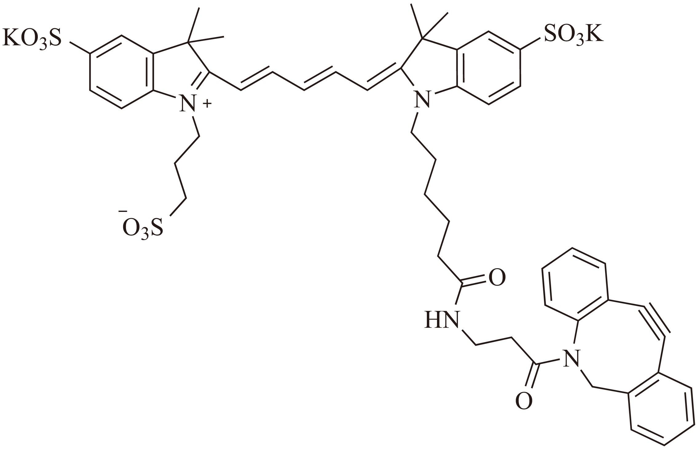 DBCO-Cy5-3（二苯并环辛炔-Cy5-3） 货号:               DC0067  规格:               1 mg