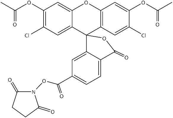 6-CDCFDA SE（6-羧基-2',7'-二氯荧光素二乙酸，琥珀酰亚胺酯） 货号:               C4069  规格:               5 mg