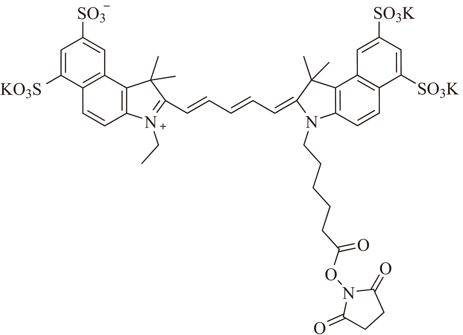 Sulfo-Cy7-E SE（Sulfo-Cy7-E 琥珀酰亚胺酯） 货号:               C5070  规格:               1mg