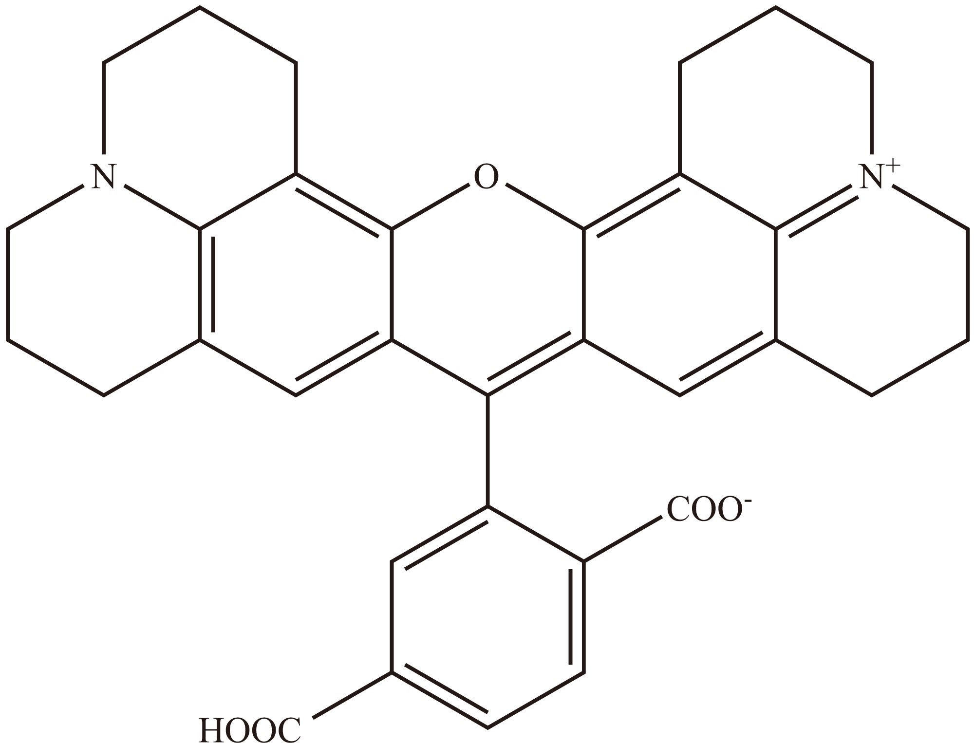 5-ROX（羧酸） 货号:               R5009  规格:               5 mg