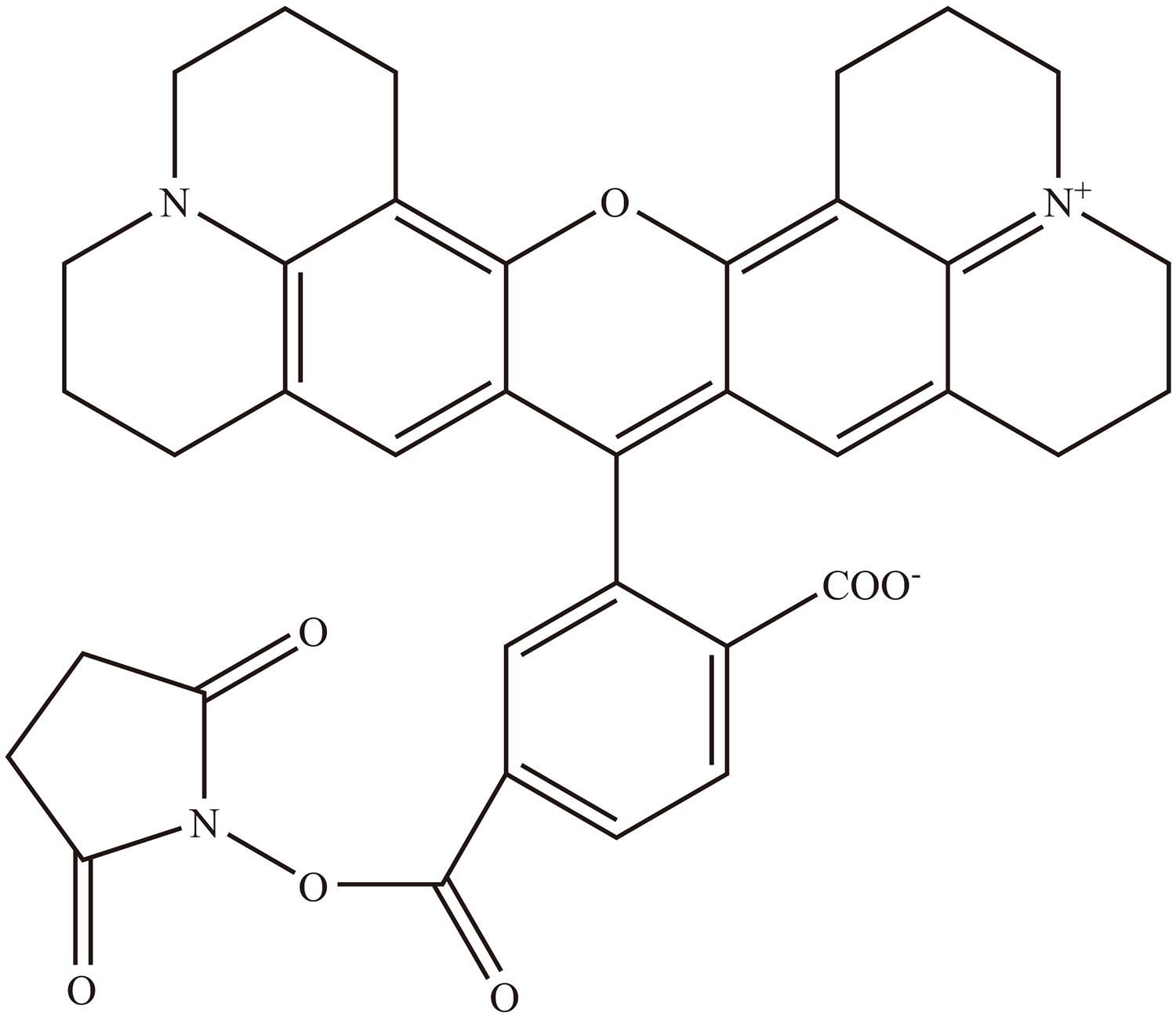6-ROX SE（6-ROX 琥珀酰亚胺酯） 货号:               R5051  规格:               5 mg