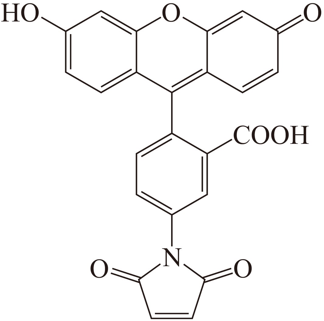 Fluorescein-5-maleimide（荧光素-5-马来酰亚胺） 货号:               F5004S/F5004L  规格:               5 mg/25 mg