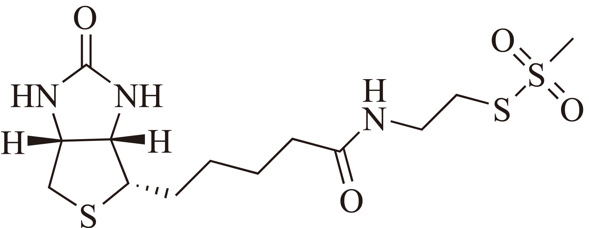 MTSEA Biotin-XX（MTSEA生物素-XX） 货号:               M5037  规格:               10 mg