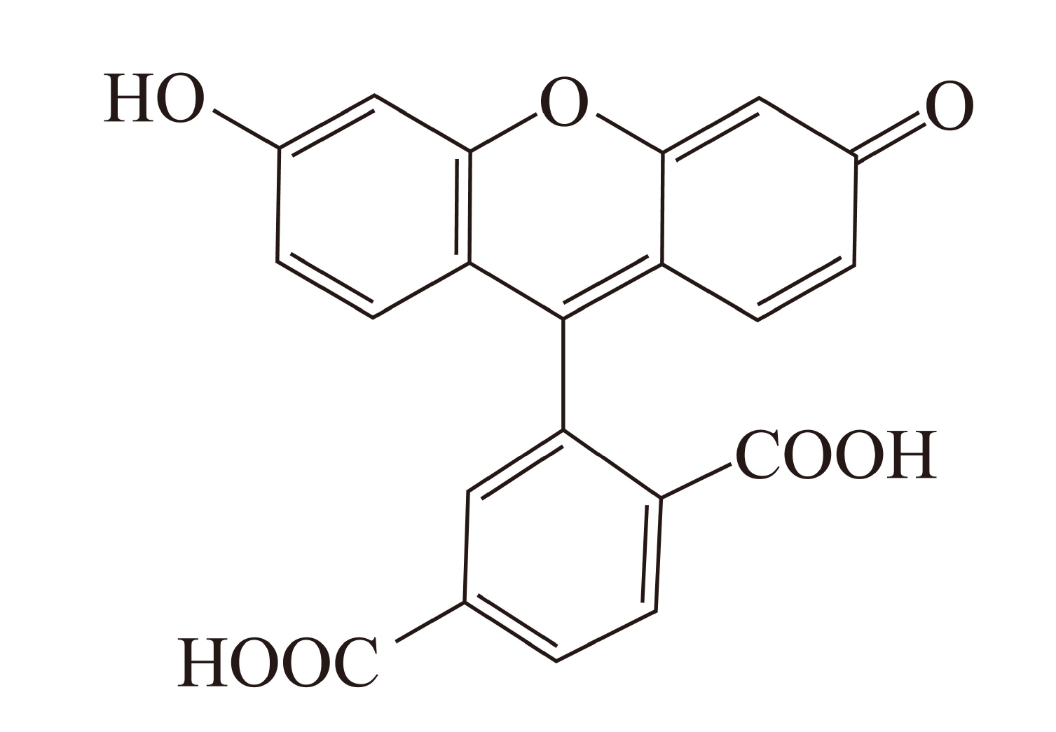 5-FAM（5-羧基荧光素） 货号:               F5008  规格:               50 mg