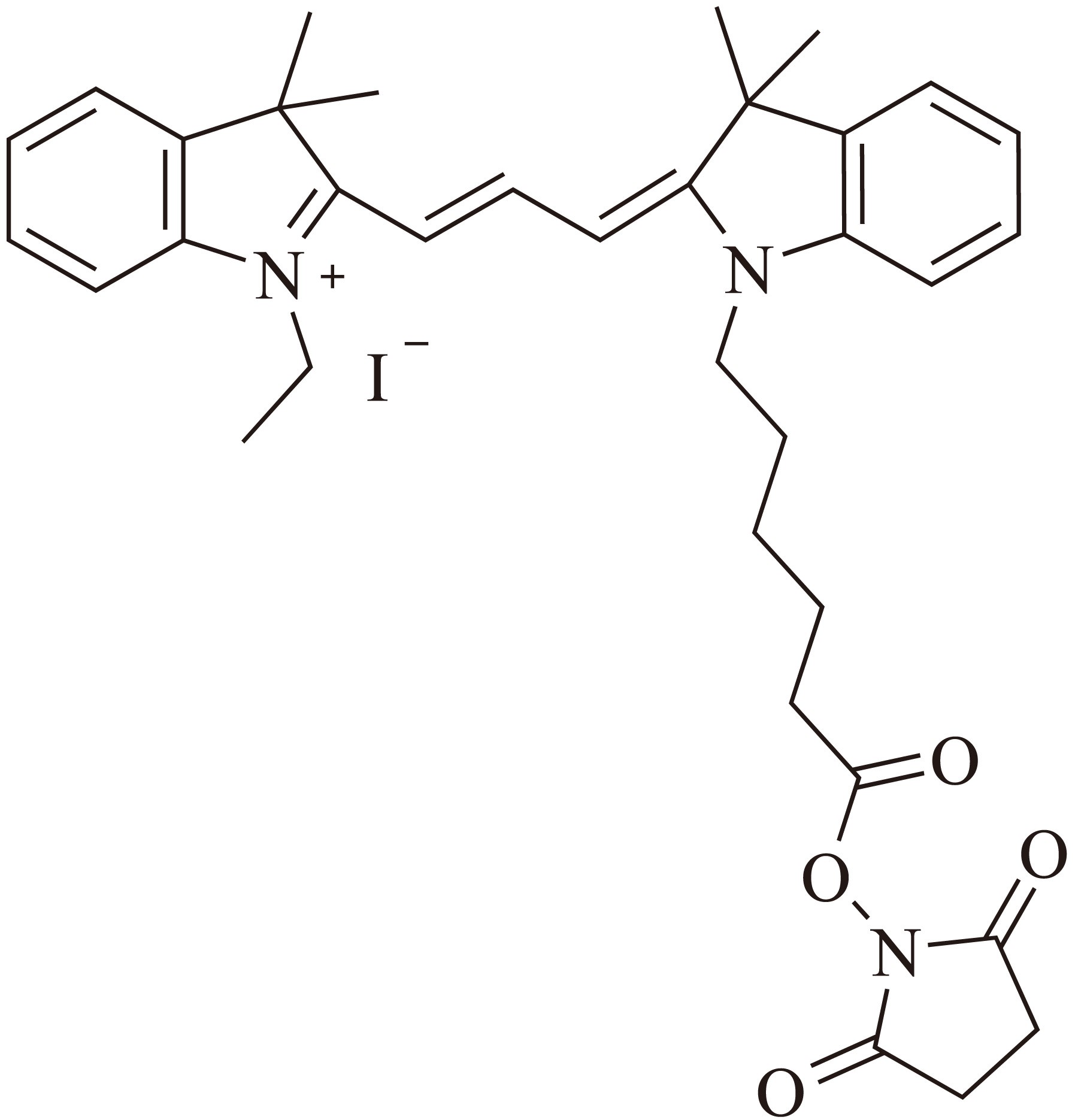 Cy7-E SE（Cy7-E 琥珀酰亚胺酯） 货号:               C5046  规格:               1mg