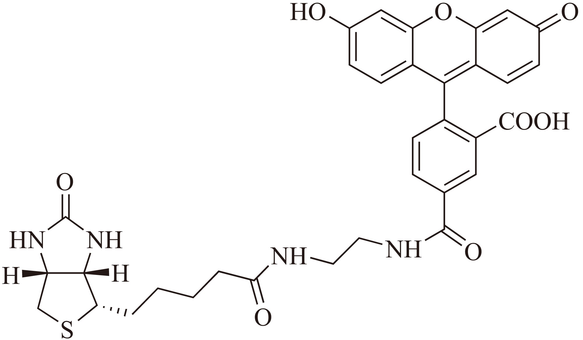 Biotin-4-fluorescein（生物素-4-荧光素） 货号:               B5041  规格:               10 mg