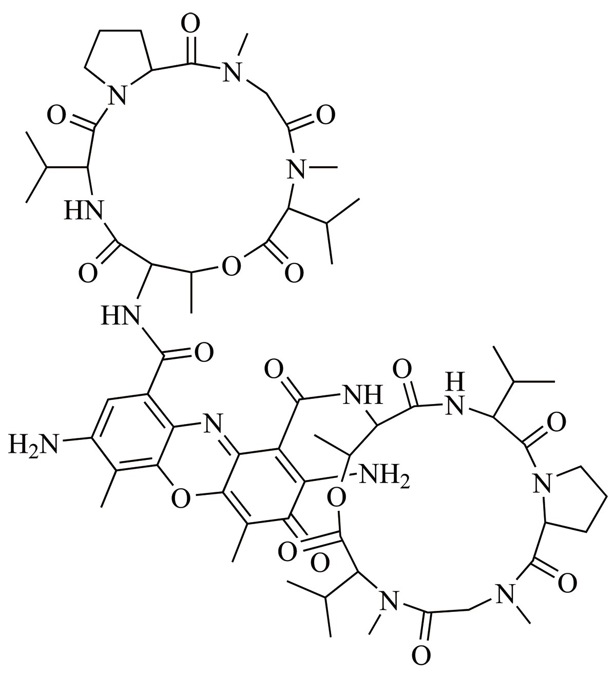 7-AAD（7-氨基放线菌素D） 货号:               A4075  规格:               1 mg