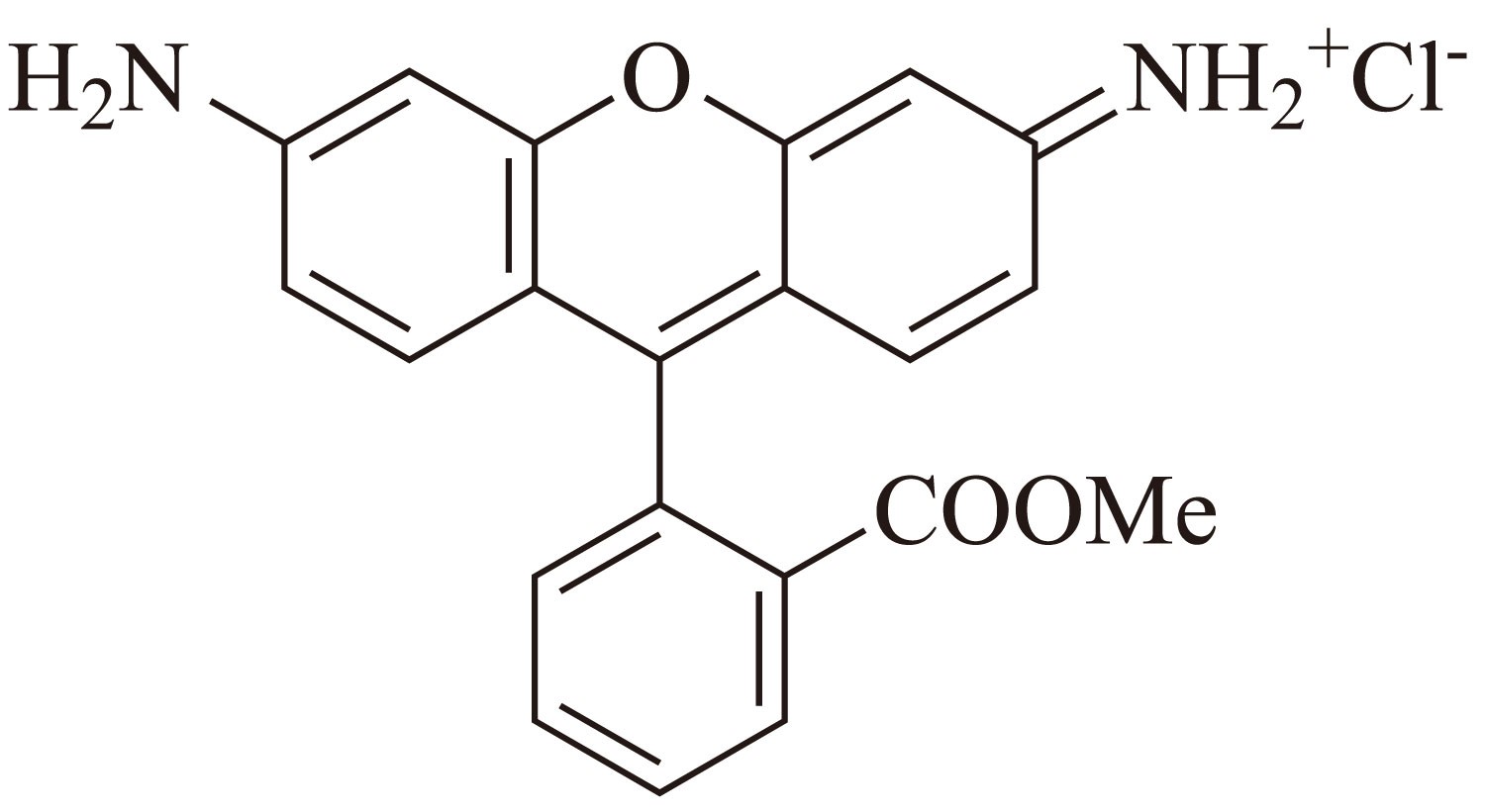 Rhodamine 123（罗丹明123） 货号:               R4056  规格:               50 mg